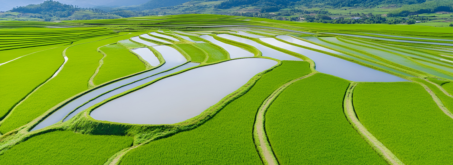 博天堂(918)官方网站 - 让你更杰出