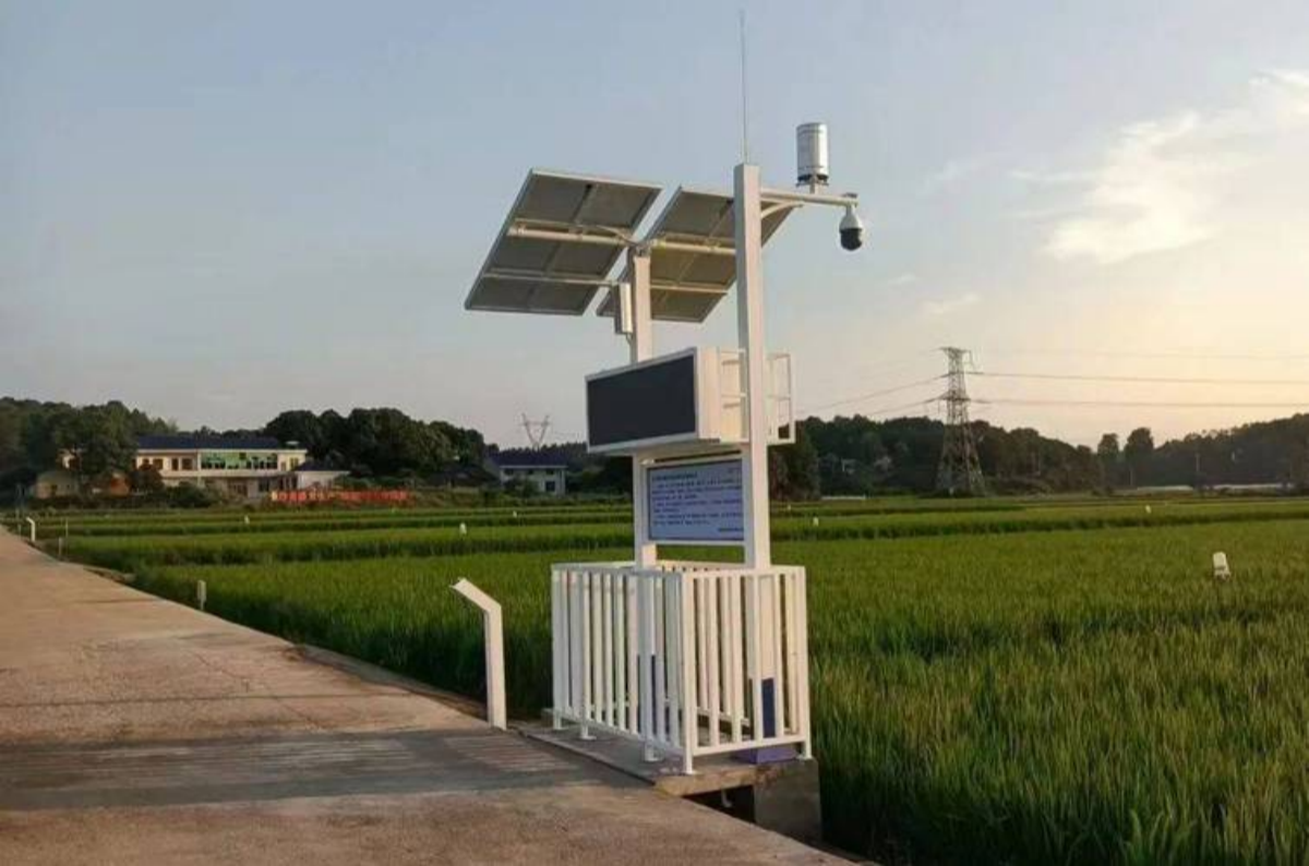 博天堂(918)官方网站 - 让你更杰出