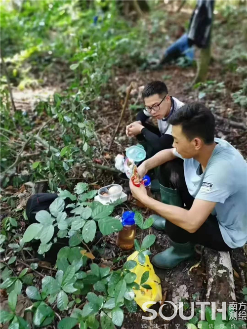 博天堂(918)官方网站 - 让你更杰出