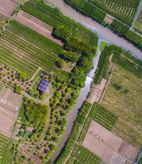 博天堂(918)官方网站 - 让你更杰出