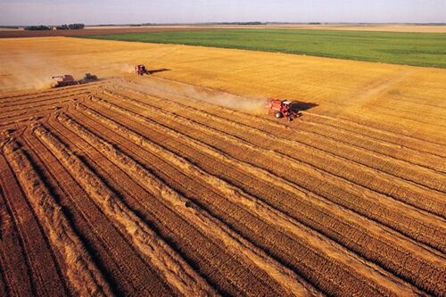 博天堂(918)官方网站 - 让你更杰出